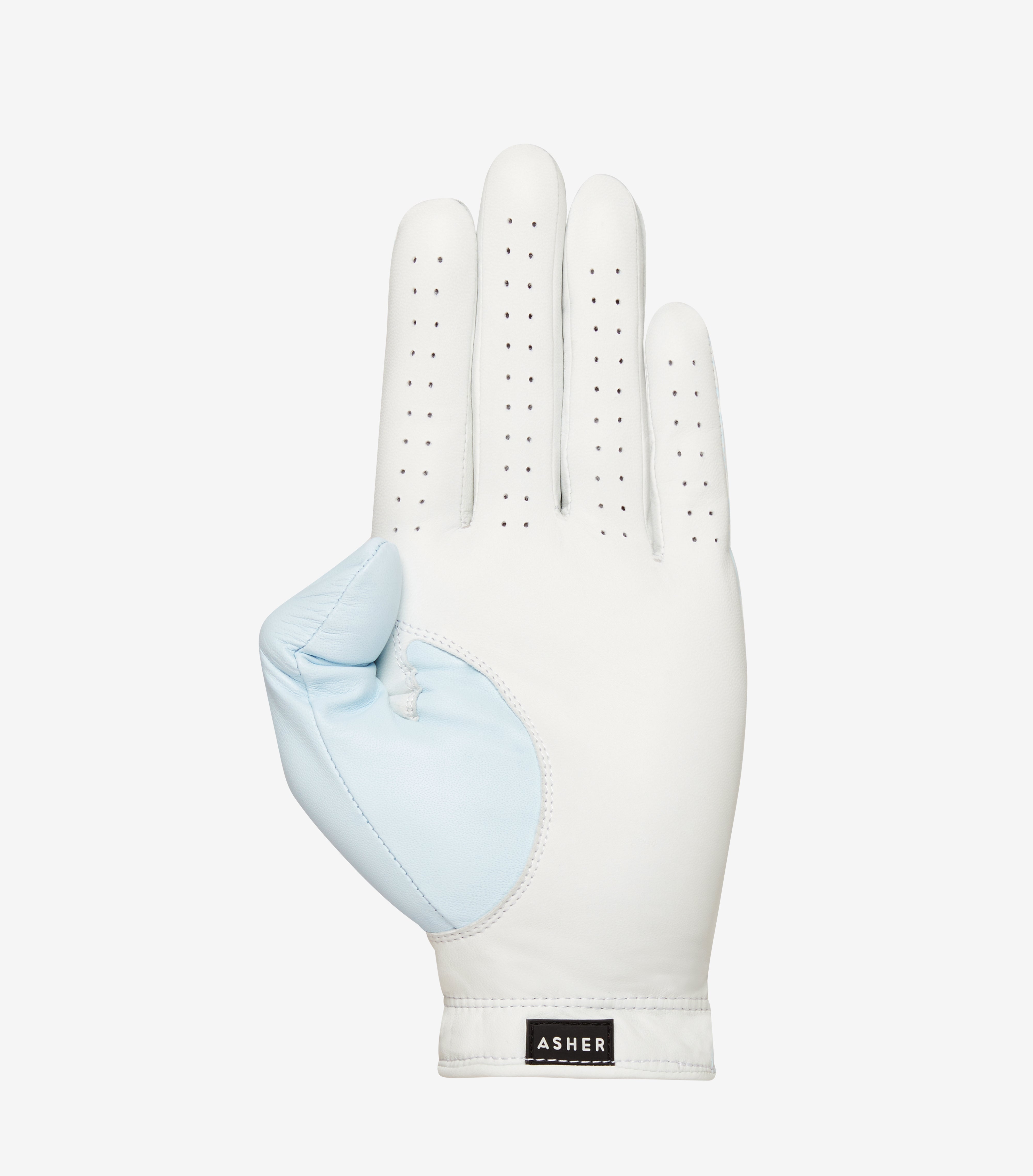 Men's Coastal Palm Golf Glove
