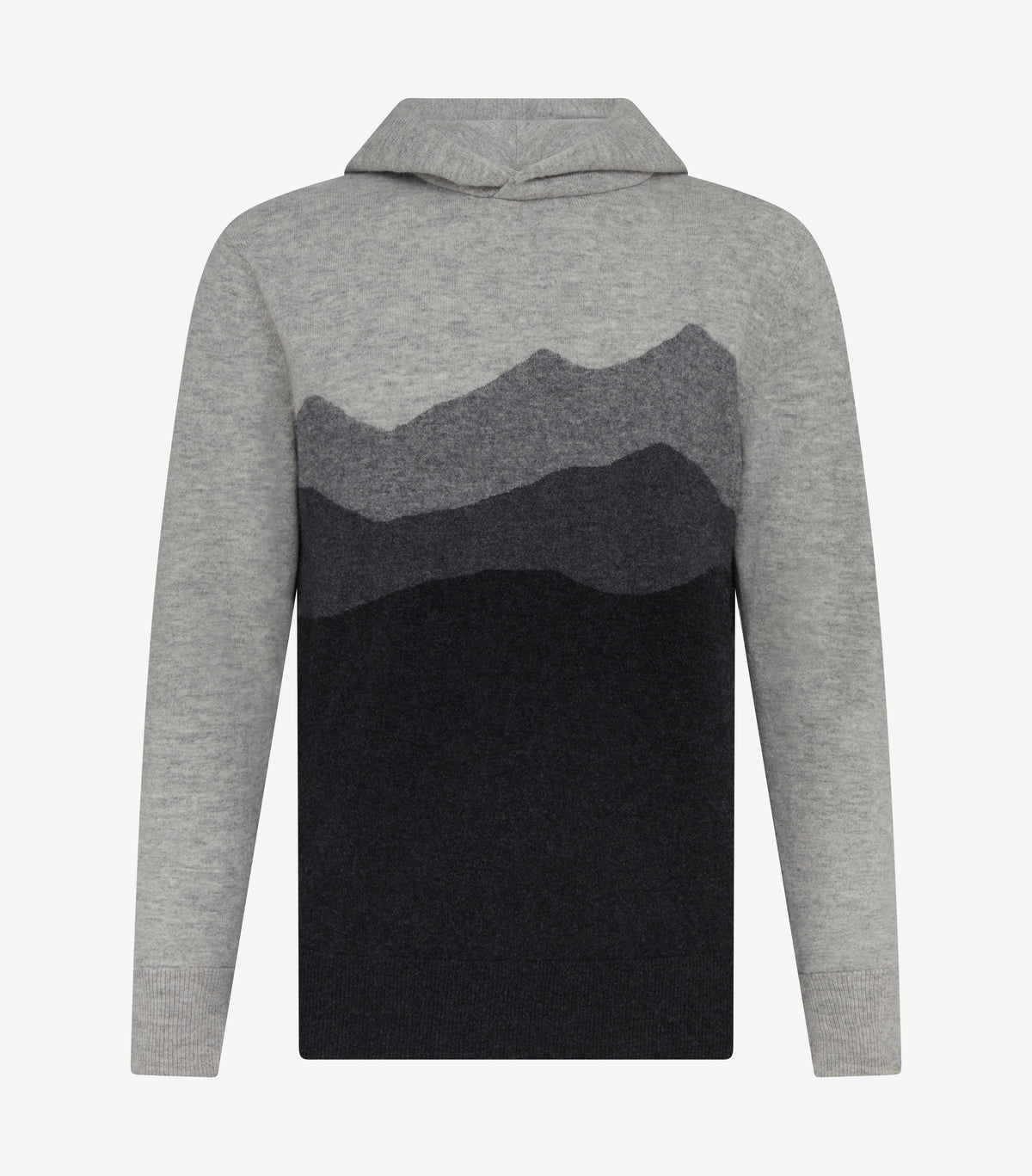 Asher Hoodie Sweater